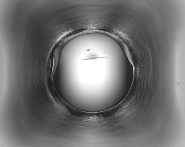 X0000086950540200704301219