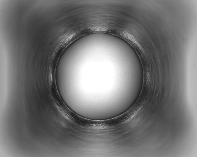 X0000086950541200704301219