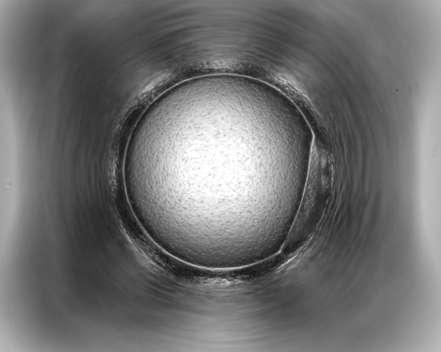 X0000086950542200704301219