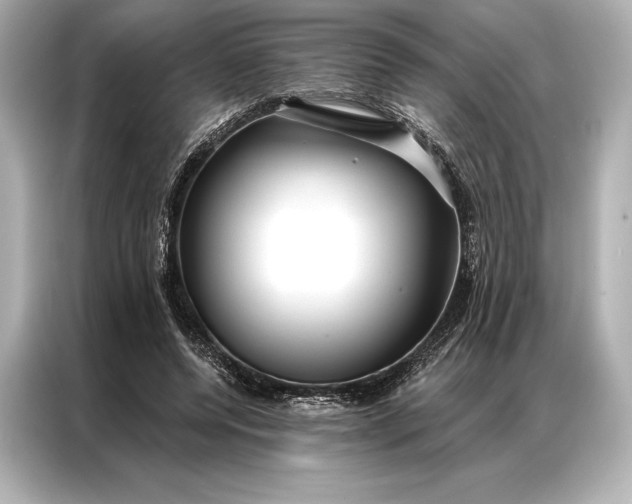 X0000086950544200704301219