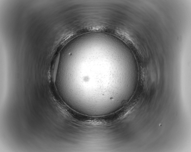 X0000086950545200704301219