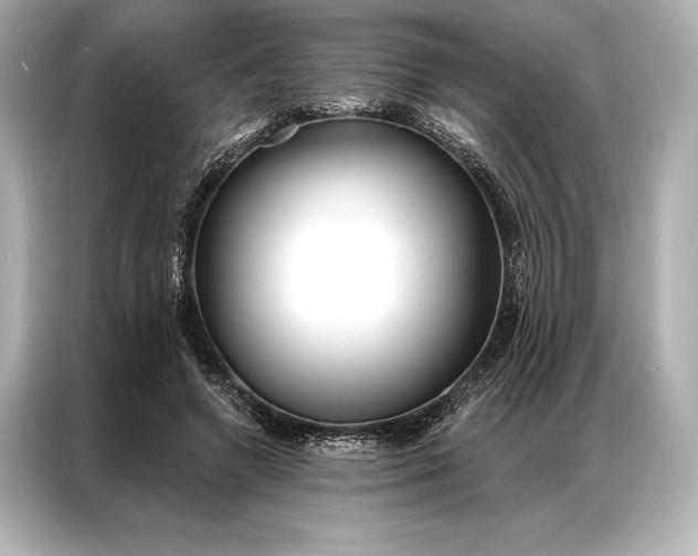 X0000086950546200704301220