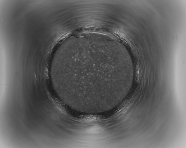 X0000086950547200704301220