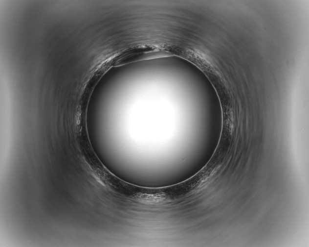 X0000086950548200704301220