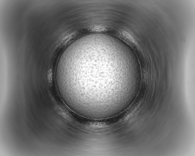 X0000086950549200704301220