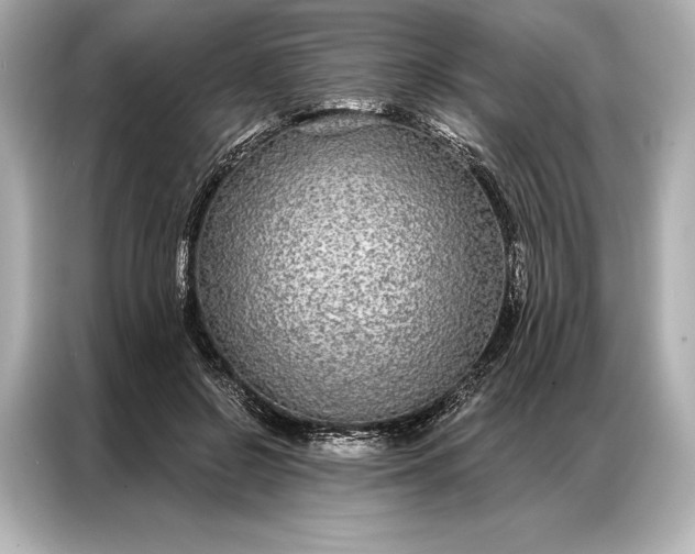 X0000086950550200704301220