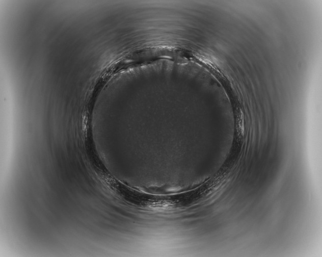 X0000086950551200704301220