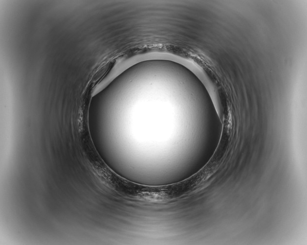 X0000086950552200704301220