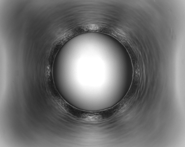 X0000086950555200704301220