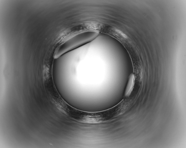 X0000086950556200704301220