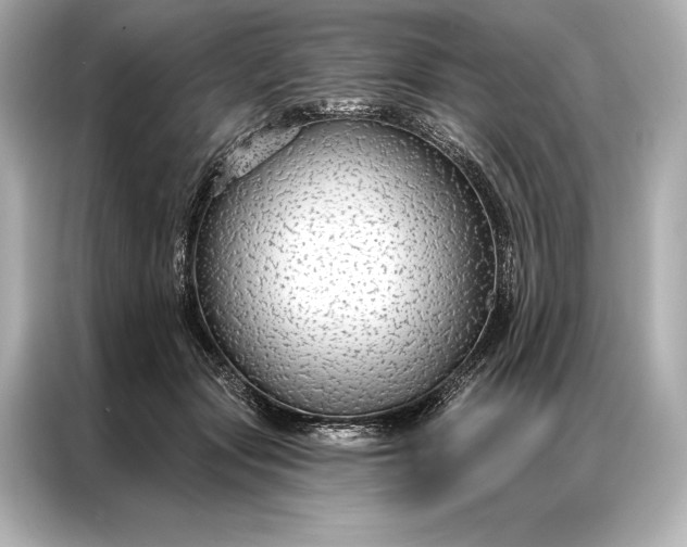 X0000086950557200704301220