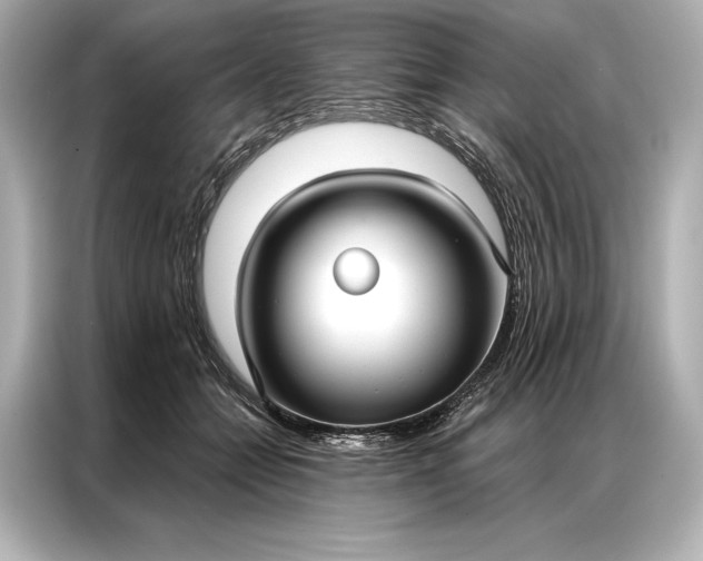 X0000086950558200704301220