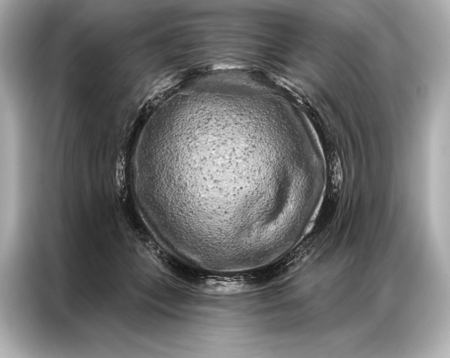 X0000086950559200704301220