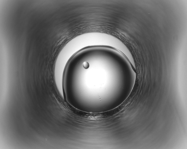 X0000086950560200704301220