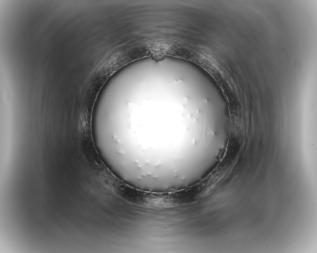 X0000086950561200704301220