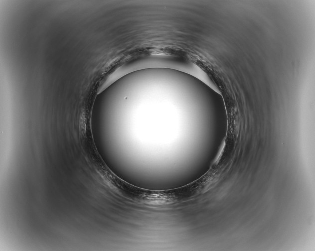 X0000086950562200704301220