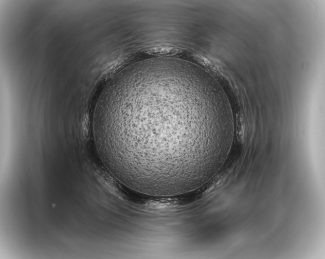 X0000086950563200704301220