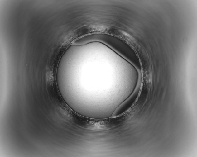 X0000086950564200704301220