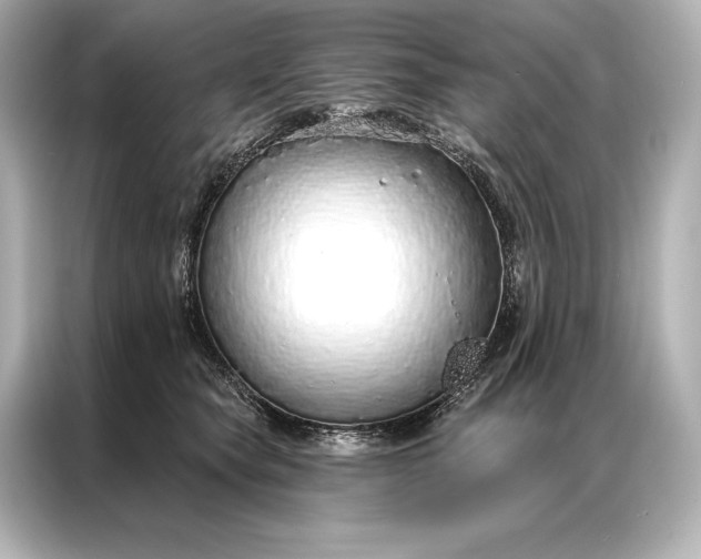 X0000086950565200704301220