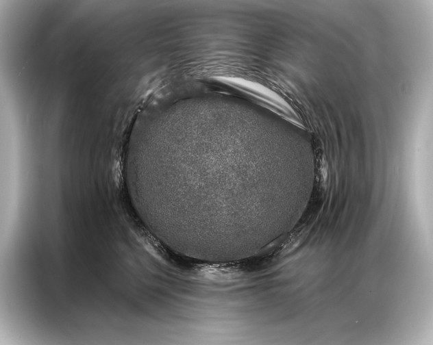 X0000086950568200704301220