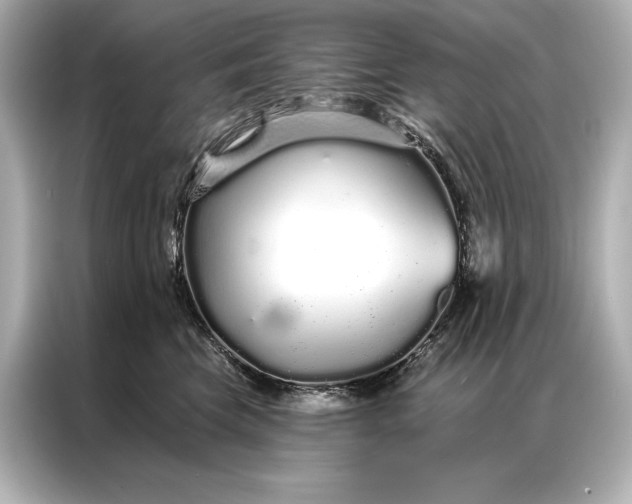 X0000086950569200704301220