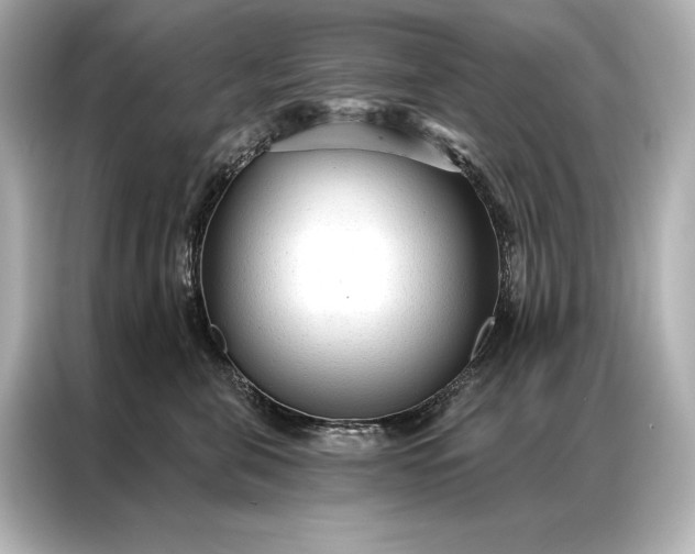 X0000086950571200704301220