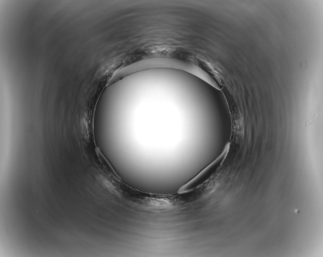 X0000086950572200704301220