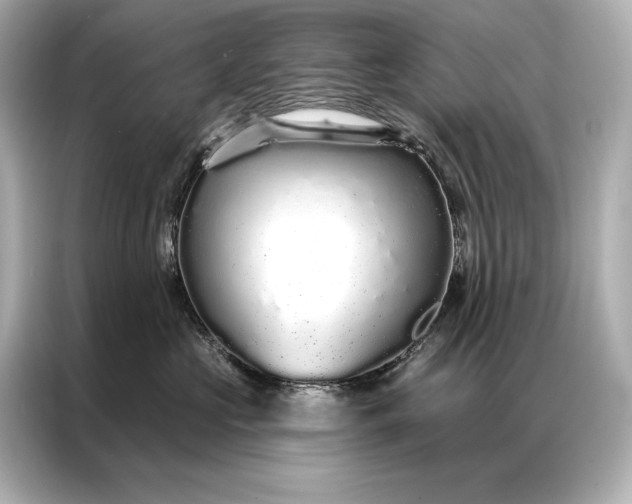 X0000086950573200704301220