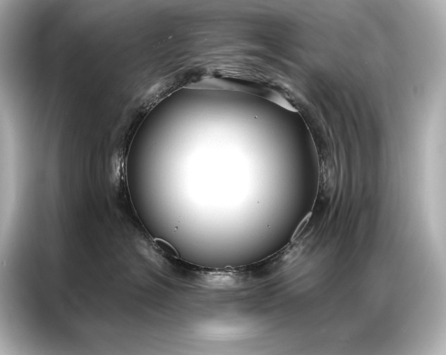 X0000086950574200704301220