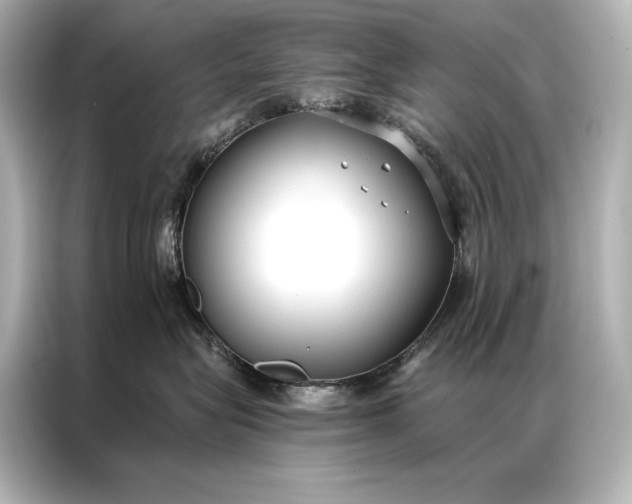 X0000086950575200704301220