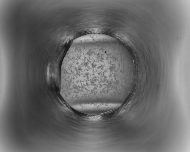 X0000086950576200704301220