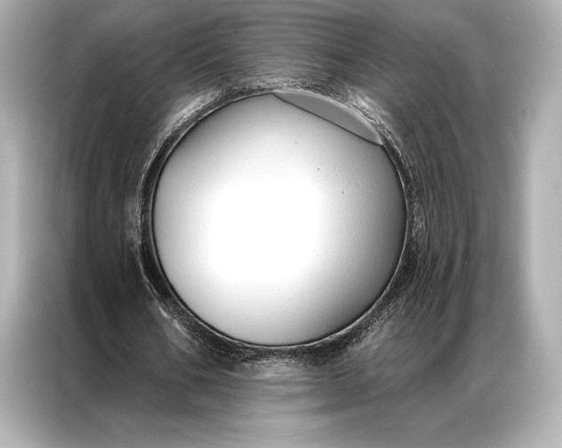 X0000086950578200704301219