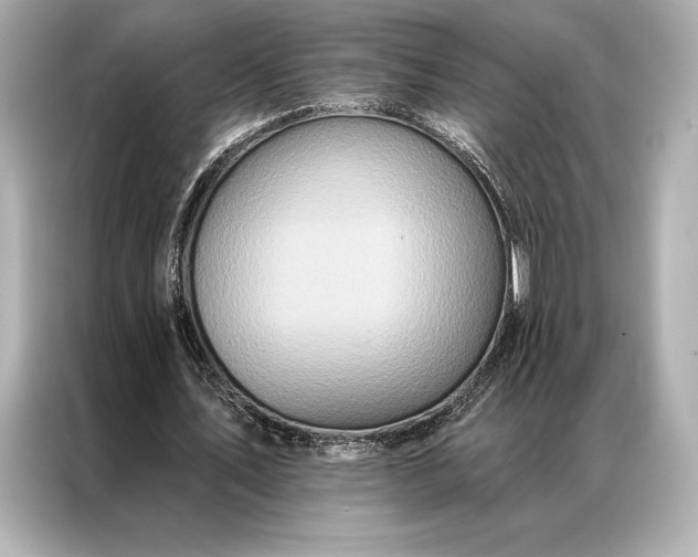 X0000086950579200704301219