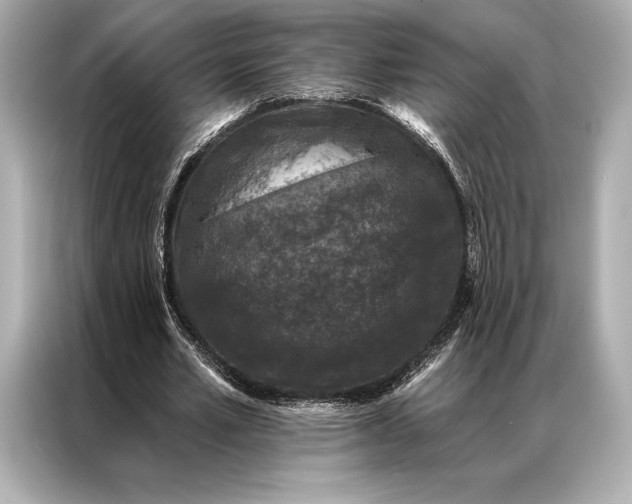 X0000086950581200704301219