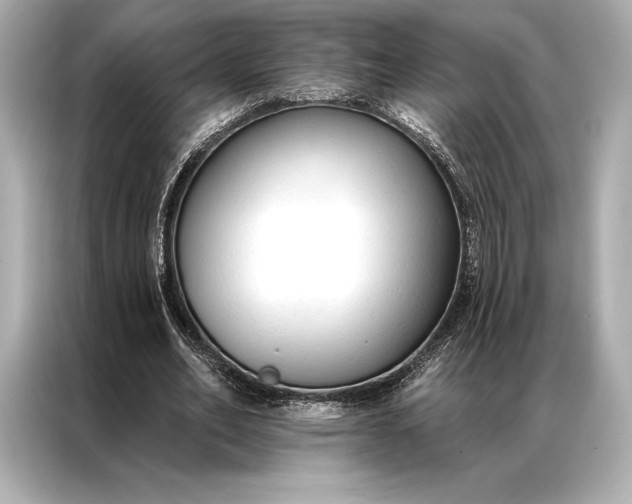 X0000086950582200704301219