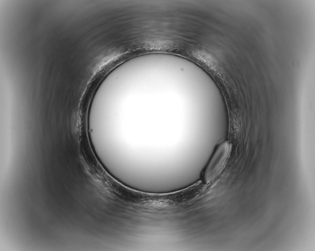 X0000086950583200704301219