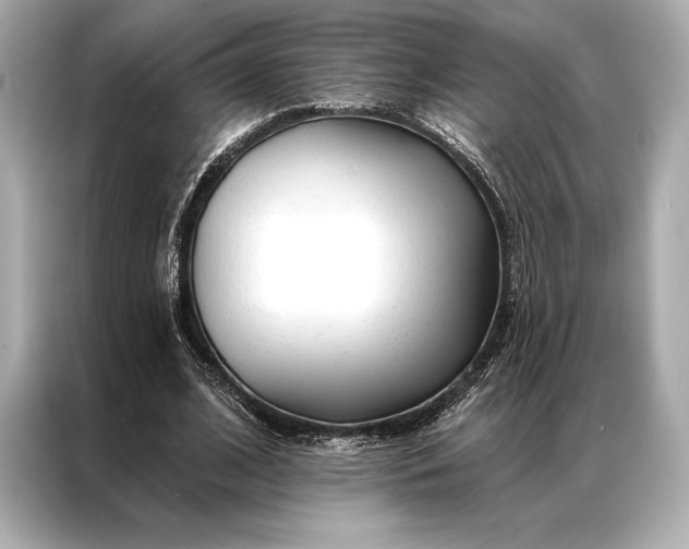 X0000086950584200704301219