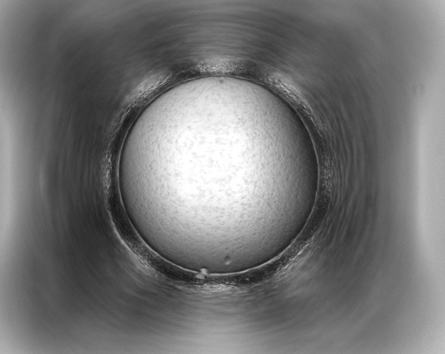 X0000086950586200704301219