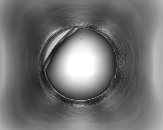 X0000086950587200704301219