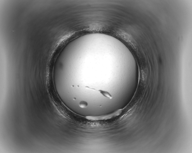 X0000086950588200704301219