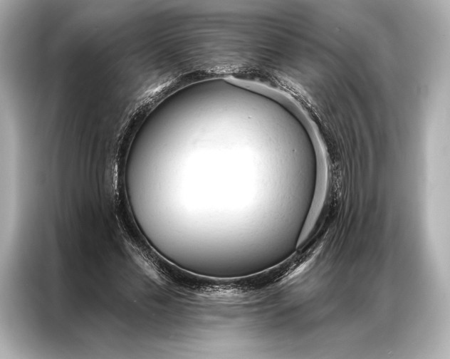 X0000086950589200704301219