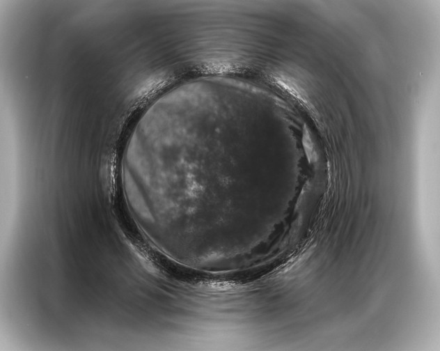 X0000086950590200704301219