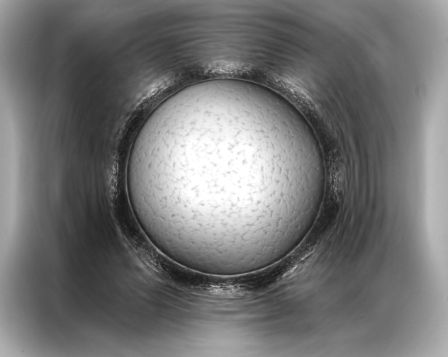 X0000086950591200704301219