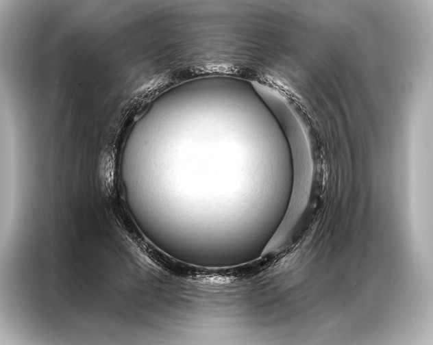 X0000086950593200704301219