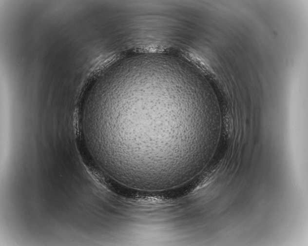 X0000086950594200704301219