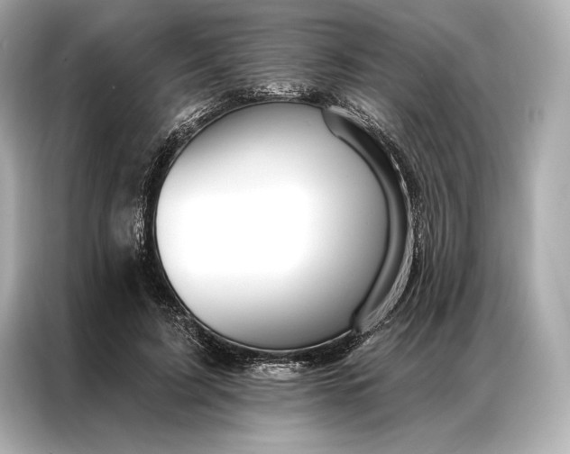 X0000086950595200704301219