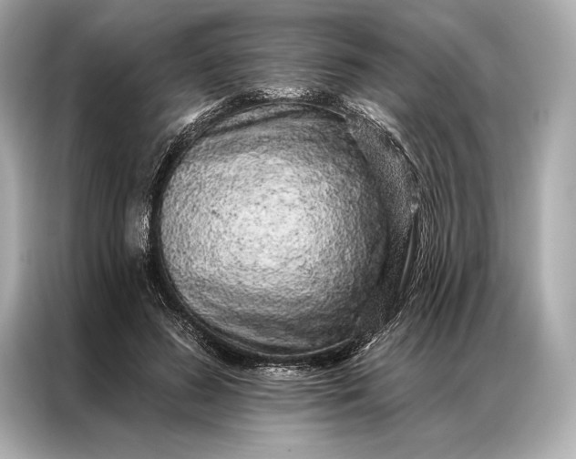 X0000086950596200704301219