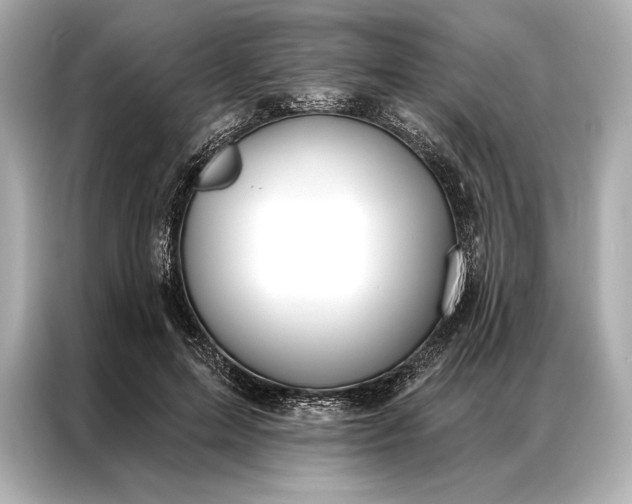 X0000086950599200704301219