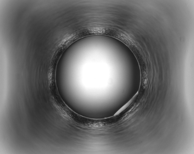 X0000086950600200704301219