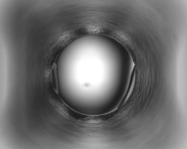 X0000086950601200704301219